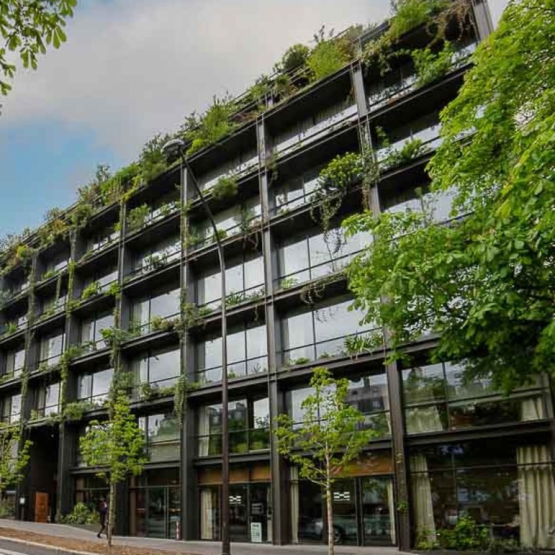 One Clinic – Villa M